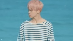 防弹少年团 - Spring Day