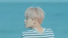 田柾国(防弹少年团),JIMIN(防弹少年团) - 忆