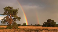 音乐短片 - Любовь Христа