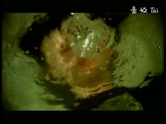 欧美群星 - Я Не Знаю