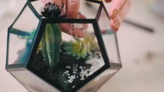 音乐短片 - Флорариум с нуля Идеи для жизни