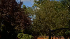 音乐短片 - 当我想起