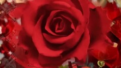 音乐短片 - ❦САМЫЙ РОМАНТИЧНЫЙ❦ ПРАЗДНИК!❦ С ДНЕМ ВЛЮБЛЁННЫХ!❦