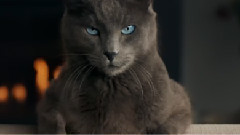 音乐短片 - Пять причин