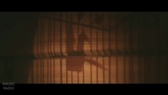 欧美群星 - Wild Hearts