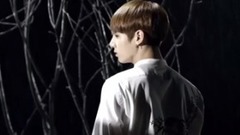 防弹少年团,SUGA(防弹少年团) - 防弹少年团wings故事完整版