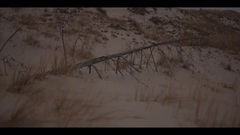 欧美群星 - Keaton