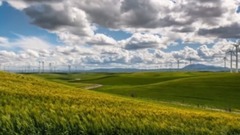 音乐短片 - 让梦随风飞舞