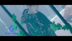 PENTAGON - Gorilla