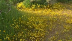 音乐短片 - 美国四季风光