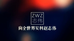 赵志伟 - 赵志伟安利视频