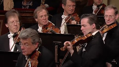 音乐短片 - 贝多芬降E大调第三交响曲Op.55