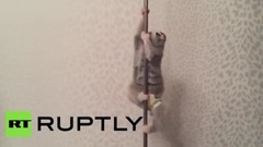 音乐短片 - Танец у шеста в исполнении лори вызвал восторг у интернет-пользователей