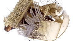 音乐短片 - 用2000颗钢珠演奏的美妙音乐