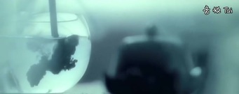 音乐短片 - 多彩云南