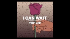 Trip Lee - I Can Wait