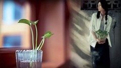 音乐短片 - 从夏天开始到夏天结束