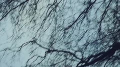 土耳其群星 - Esasen