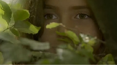 音乐短片 - 森林美丽瞬间