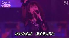 AKB48,No3b,高桥南,小嶋阳菜,峯岸南 - M24 純愛のクレッシェンド