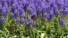 音乐短片 - 我懂