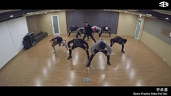 舞蹈视频,SF9 - ROAR