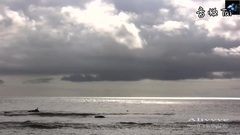 New - Dreams Of The Sea
