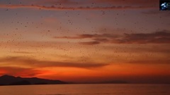 New - In Paradise (Original Mix)