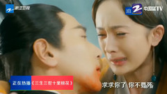 赵又廷,杨幂 - 十里桃林故人归来