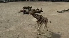 音乐短片 - Жизнь под музыку