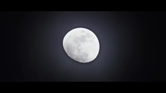 Zedd,Alessia Cara - Stay