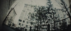 欧美群星 - Геном