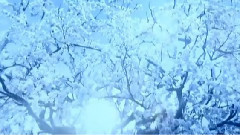 音乐短片 - Always With You