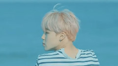防弹少年团 - 春日(Spring Day)