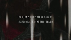 Sinun Vaikka Hajoat