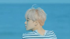 防弹少年团 - Spring Day