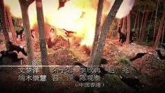 影视原声,刘恺威 - 电视剧<喋血孤岛>片头曲