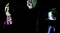 欧美群星 - Рябиновые птицы