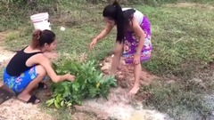 音乐短片 - Hai cô gái đặt lồng thực sự đánh bắt cá lớn