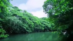 日本群星 - 海中仙姬~日语版<海洋奇缘>主题曲_超清