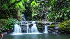 音乐短片 - Looking Down My Heart (Myk Bee Remix)