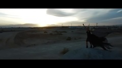 欧美群星 - Sens Unic