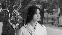 杨洋 - 时光从来残酷