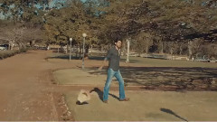 欧美群星 - Ze Trovão