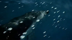 音乐短片 - Paradise waters