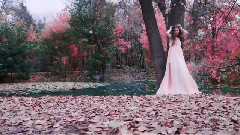 欧美群星 - Мечты