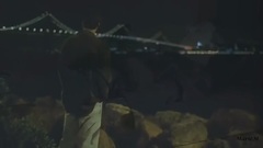 音乐短片 - What I Did For Love