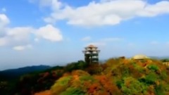 音乐短片 - 夜愿—鸟瞰新重庆