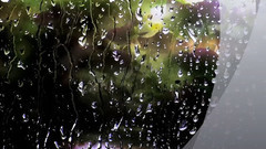 音乐短片 - The Rain