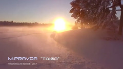 音乐短片 - Taiga